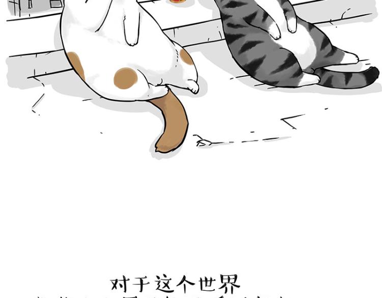 第291话 好兄弟，一辈子71