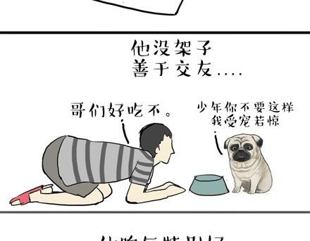 第18话 思考喵生的猫20