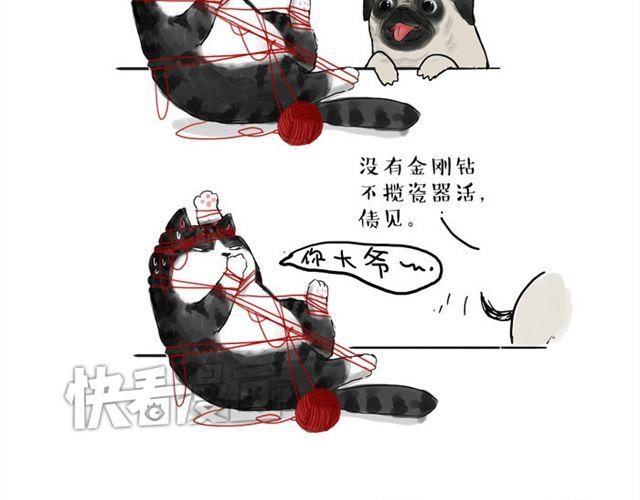 第15话 猫引发的朋友圈惨案3