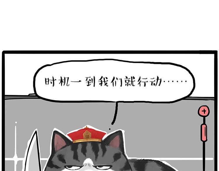 第217话 联手“作案”10