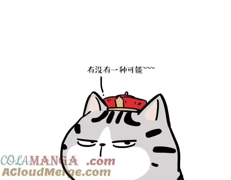 第424话 话痨小猫42
