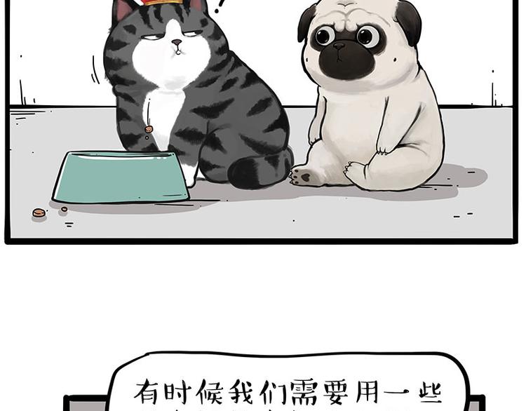 第233话 你太飘了12