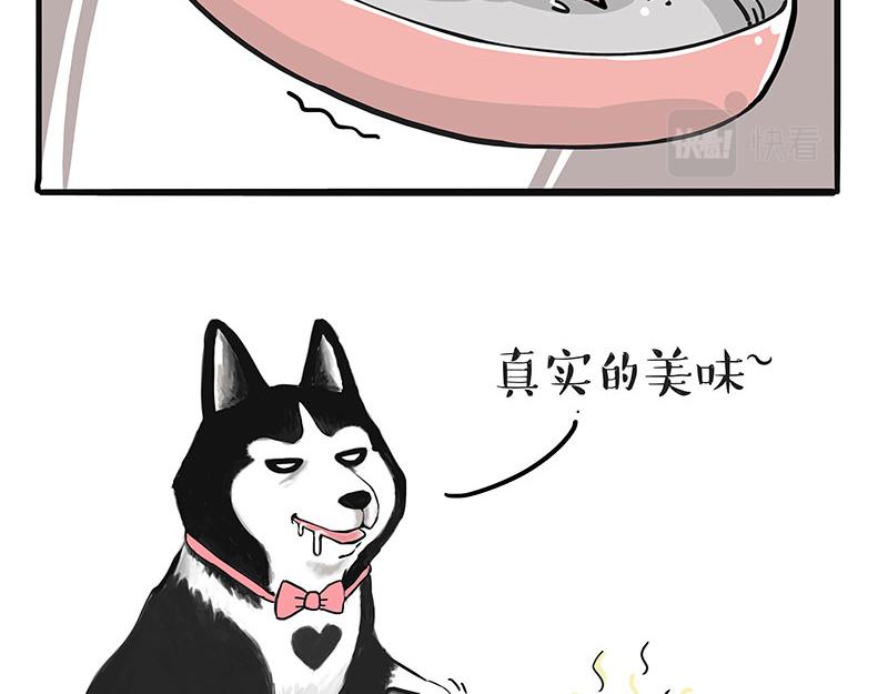 第313话 打工真谛25