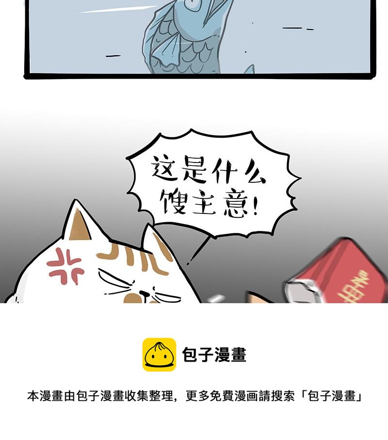 第320话 猫孵鱼12