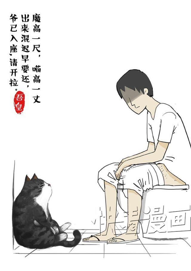第2话 傲娇是猫的原则7