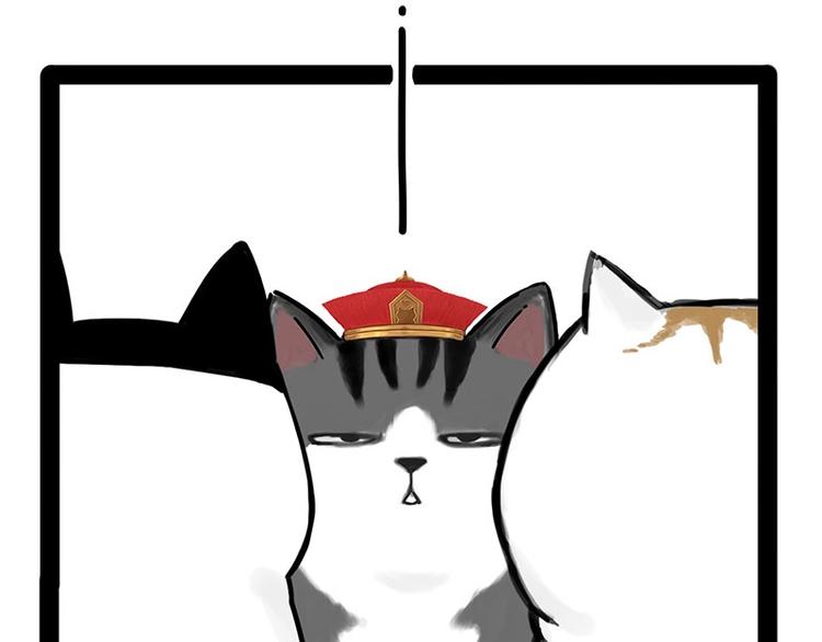 第167话 猫王争霸赛48