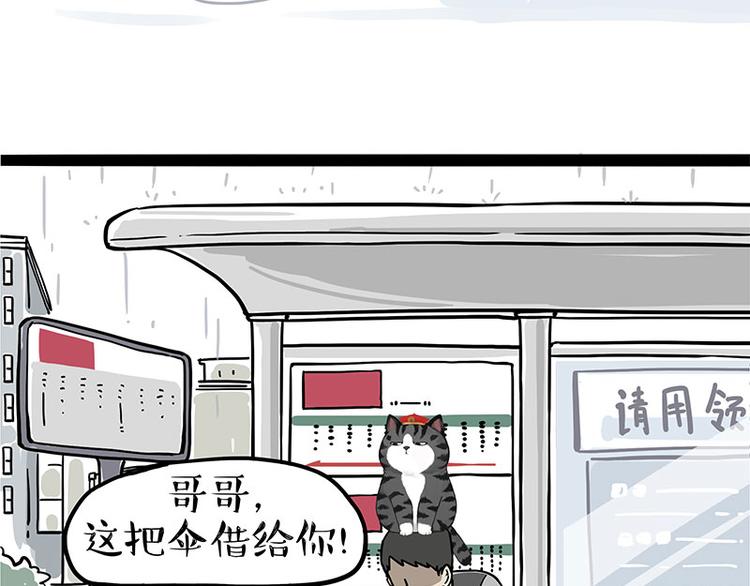 第282话 型男（猫）2