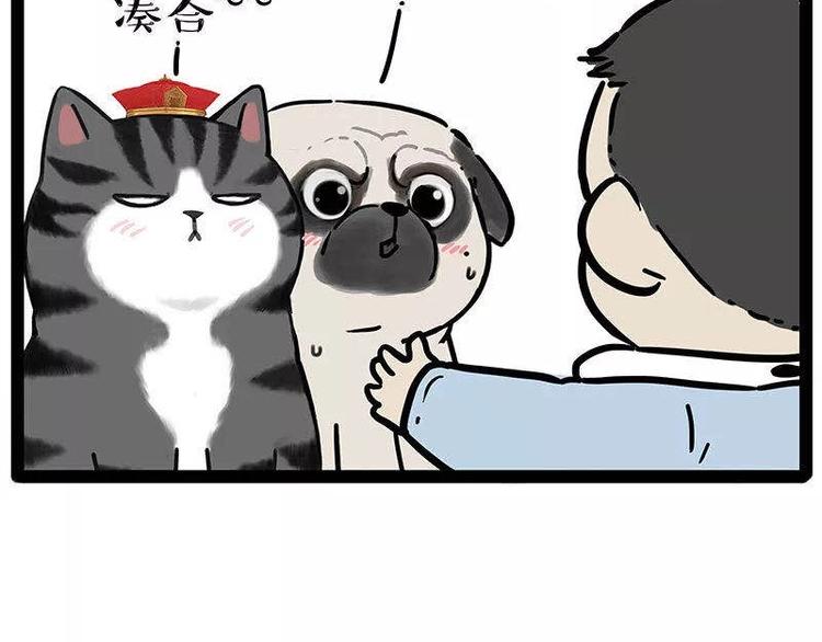 第191话 猫猫无证看孩子？！23