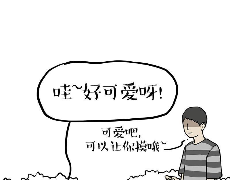 第342话 胜负欲39