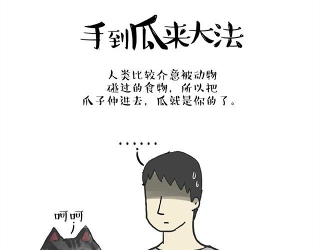 第16话 我家猫怎么能牺牲色相13
