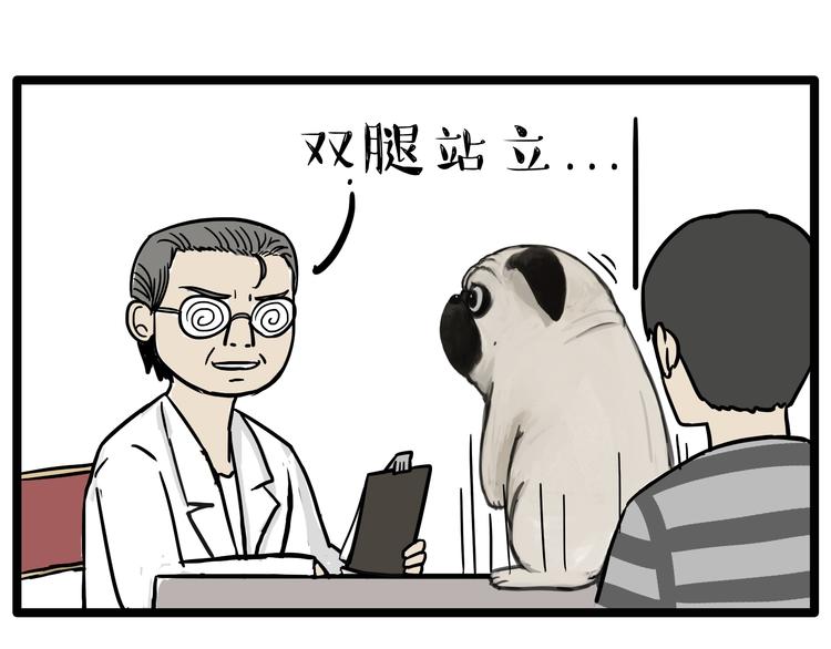 第78话 带宠物看病（上）12