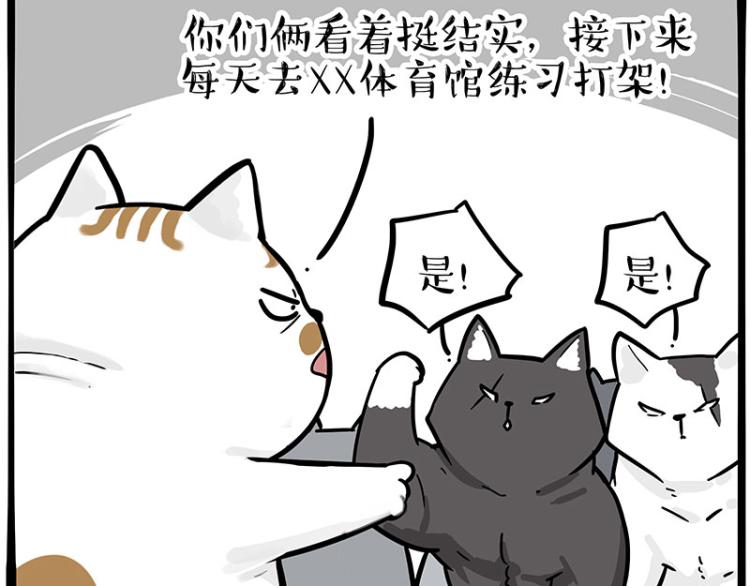 第290话 凶恶猫猫组织42