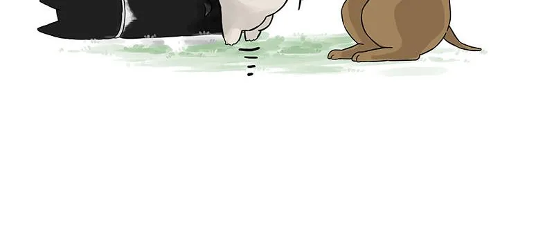 第375话 偶遇恶犬13