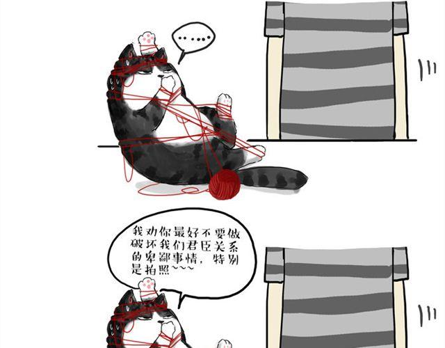 第15话 猫引发的朋友圈惨案4