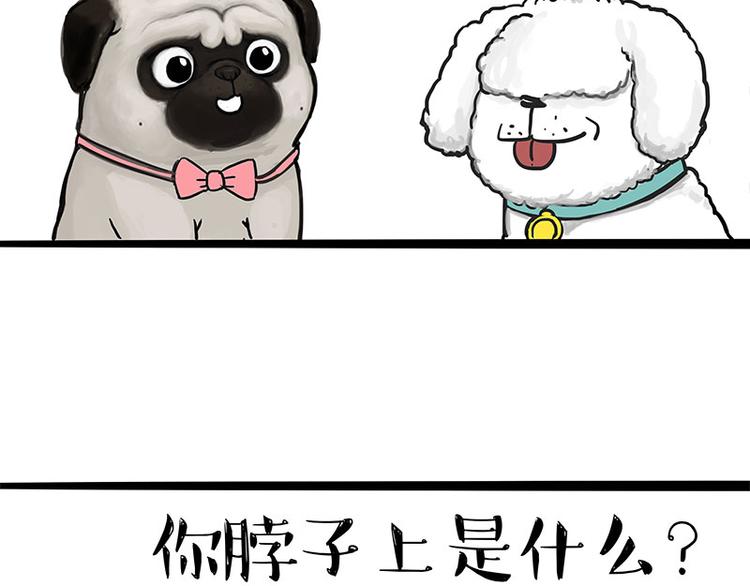 第126话 巴扎黑你什么都不懂16