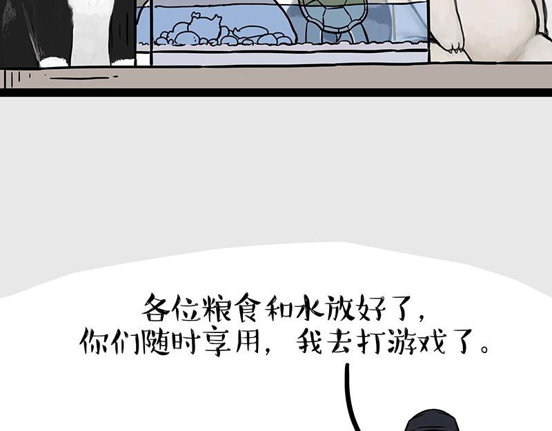 第299话 真假虚实3