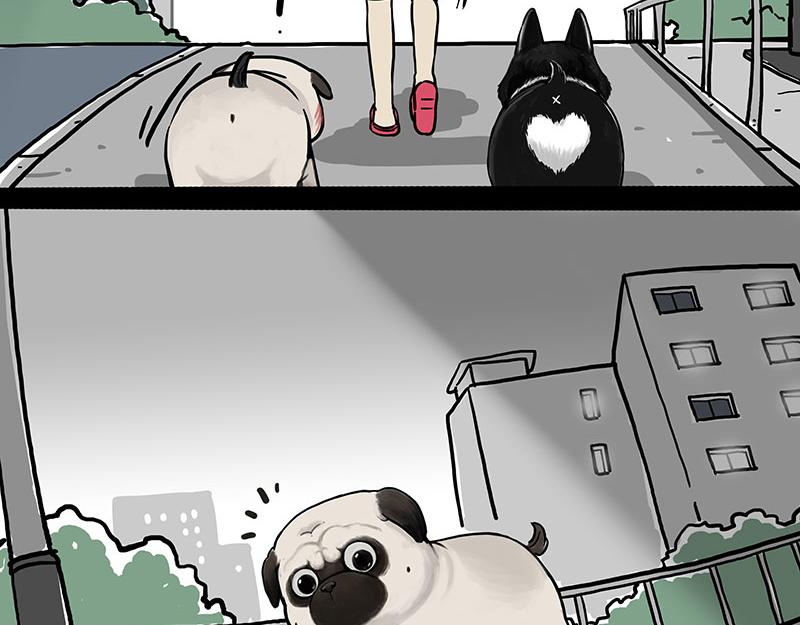第299话 真假虚实76