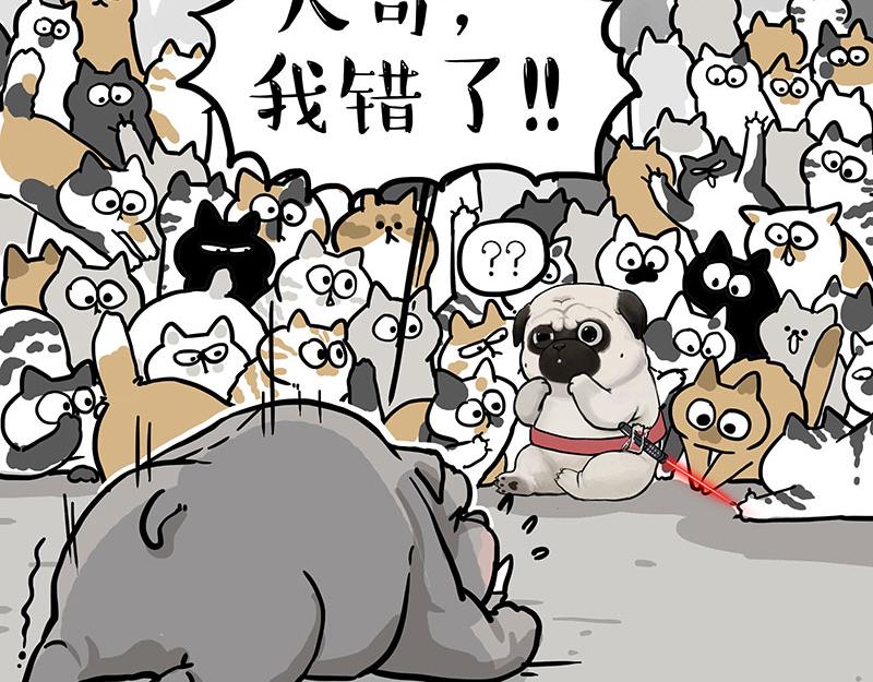 第337话 下辈子报仇45