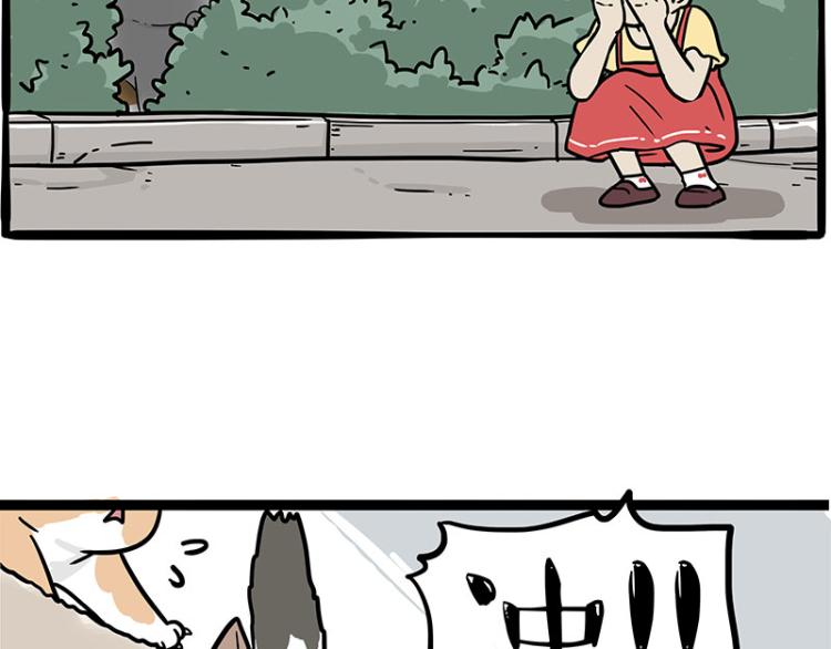 第290话 凶恶猫猫组织13