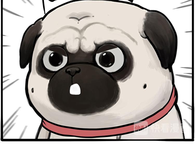 第262话 忠犬巴扎黑？！44