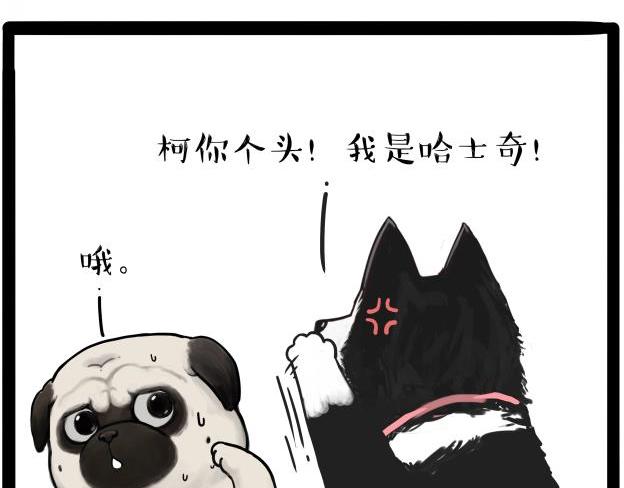 第212话 万能爹和“狗”生15