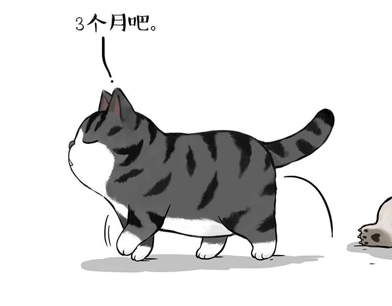 第392话 真相了47