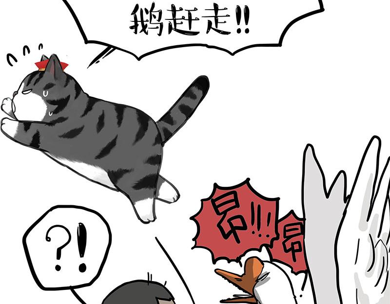 第340话 自我攻略6