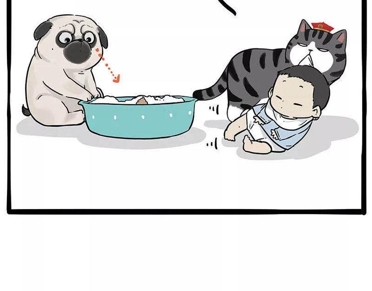 第191话 猫猫无证看孩子？！40