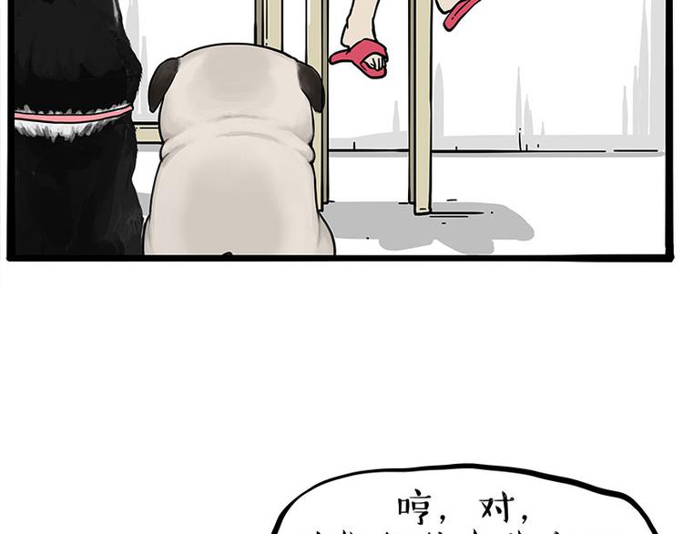 第253话 与狗争饭24
