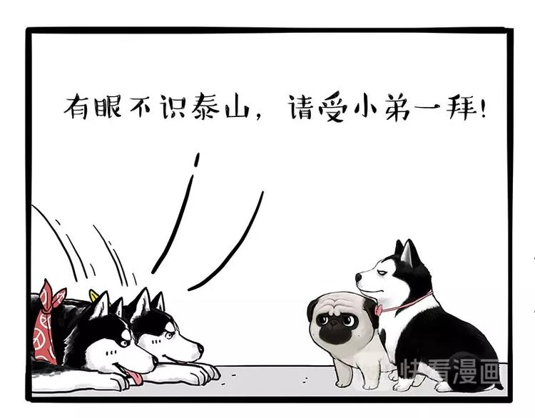 第175话 狗中王者39