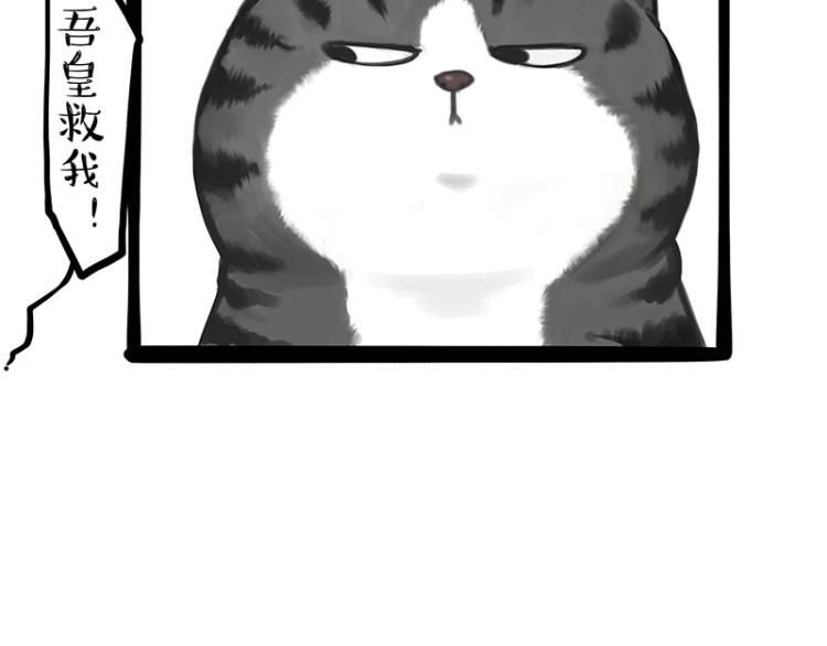 第294话 教狗游泳难度爆棚57