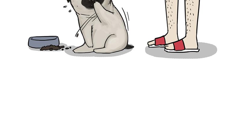 第51话 猫和狗的待遇就是不同35