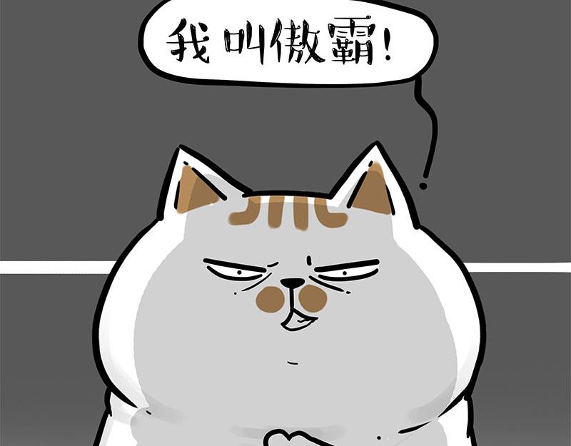 第308话 恶霸最大！22