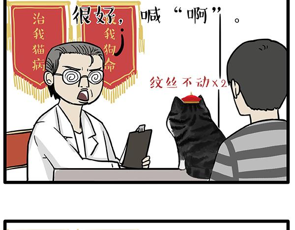 第78话 带宠物看病（上）2