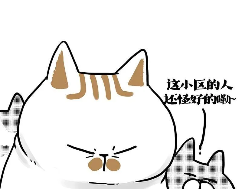 第406话 小狗心事（上）46