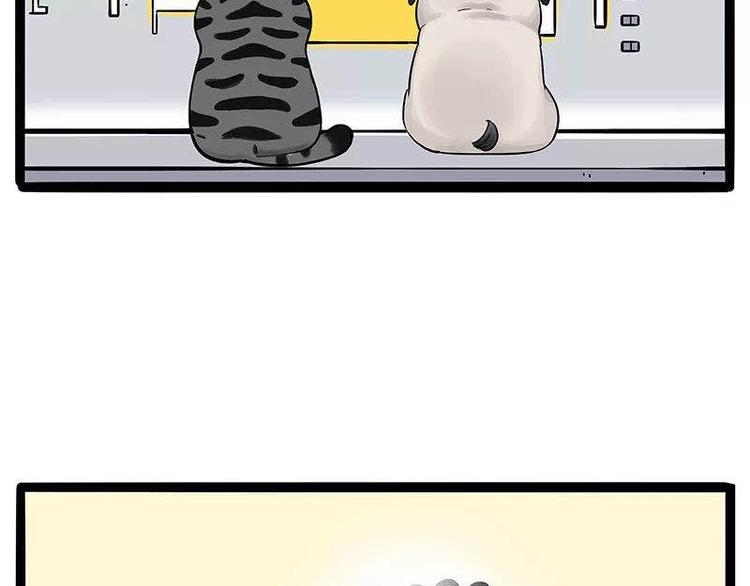 第191话 猫猫无证看孩子？！77