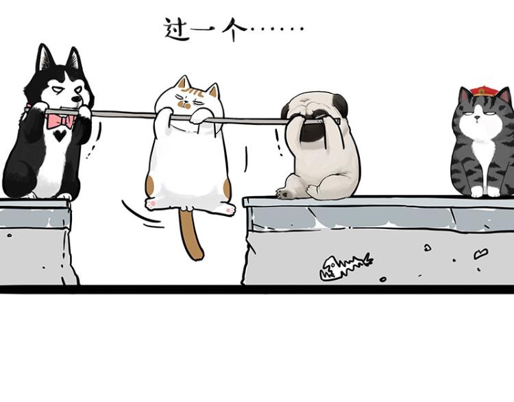 第294话 教狗游泳难度爆棚49