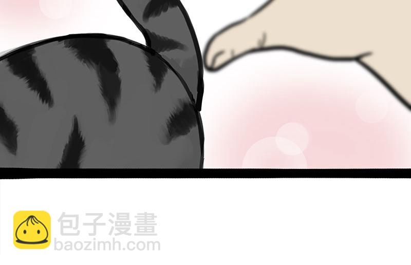 第366话 情人节，略过11