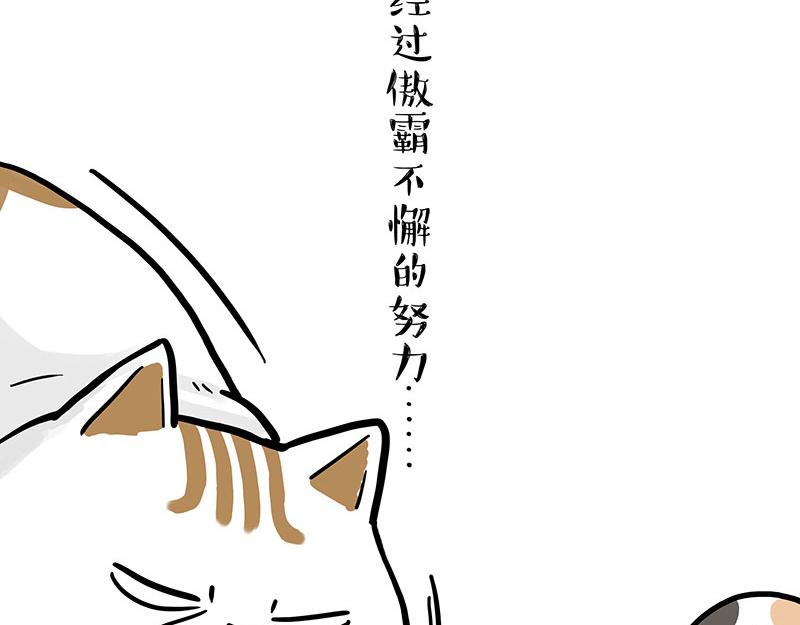 第320话 猫孵鱼19