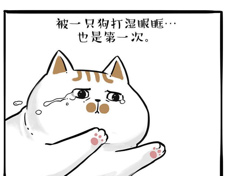 第239话 “屁”的战争46