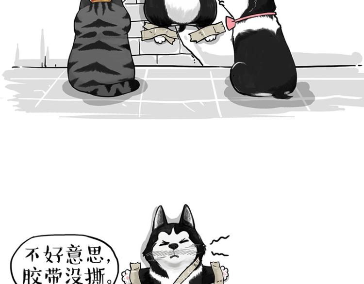 第288话 冒牌货，拿来吧你！66
