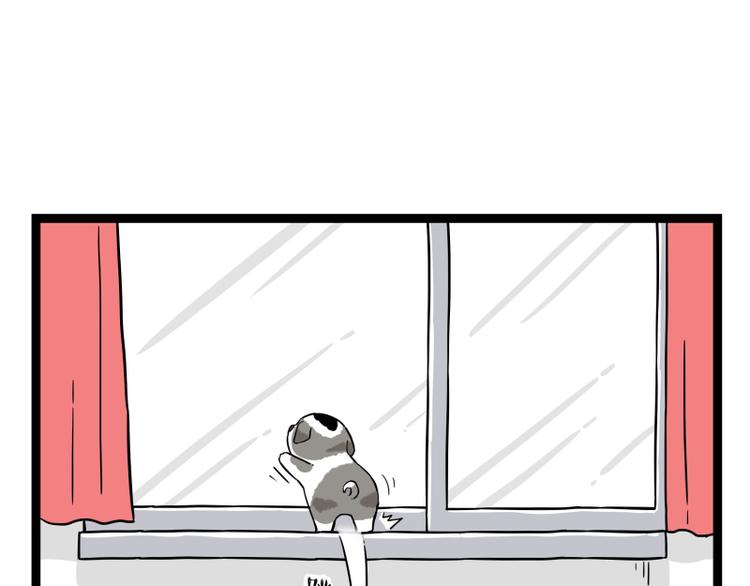 第267话 不让你流浪53