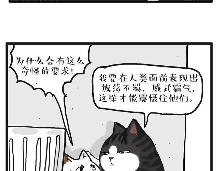 第291话 好兄弟，一辈子59