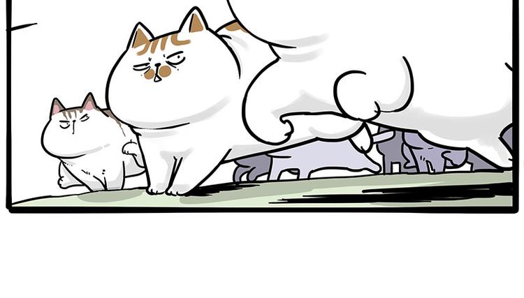 第271话 进击的流浪猫！50