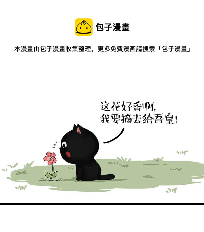 第311话 抓不住！0