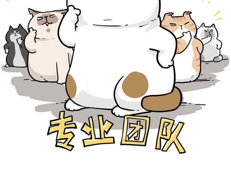 第290话 凶恶猫猫组织52