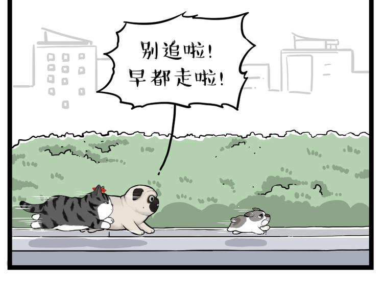 第267话 不让你流浪65