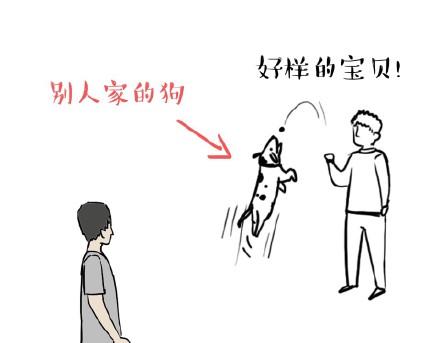 第17话 尽我所能，不打扰你12
