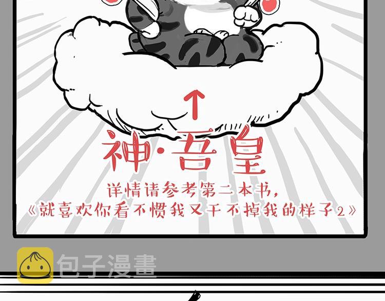第205话 一切都是猫的安排6