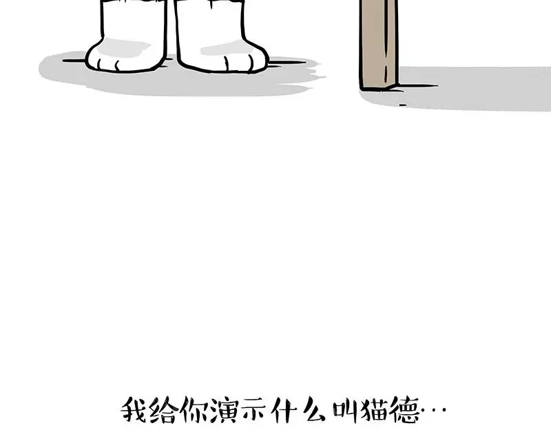 第325话 你不守猫德8